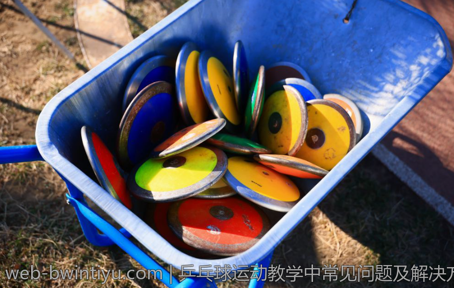 乒乓球运动教学中常见问题及解决方案探讨